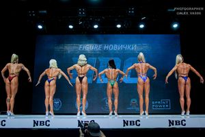 FIGURE НОВИЧКИ